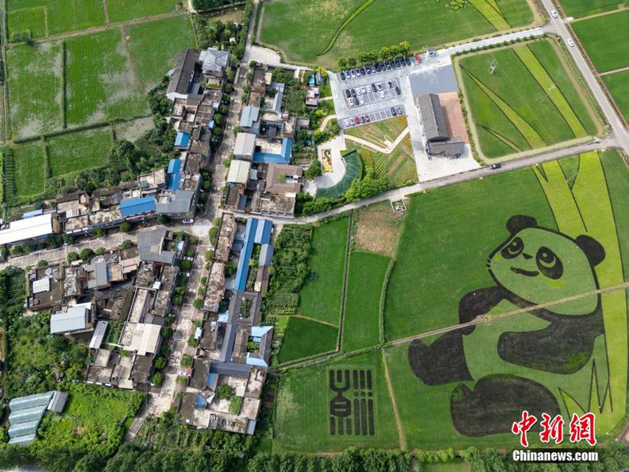 Chengdu, enorme 