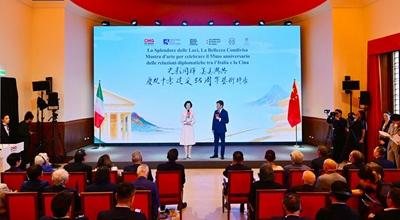 Lo Splendore delle Luci, La Bellezza Condivisa - Mostra d'arte per il 55° anniversario delle relazioni diplomatiche tra Cina e Italia tenuta a Roma
