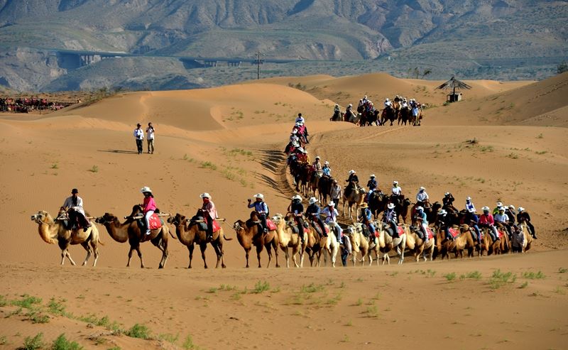 Turismo nel deserto a Zhongwei, Ningxia
