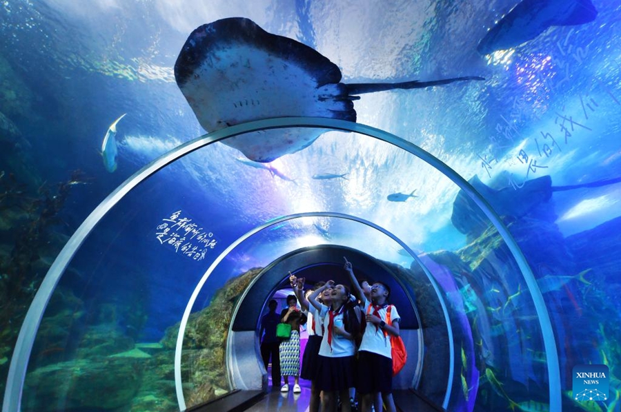 Bambini in visita all'acquario di Qingdao, nella provincia dello Shandong, Cina orientale. (8 luglio 2025 - Xinhua/Wang Haibin)