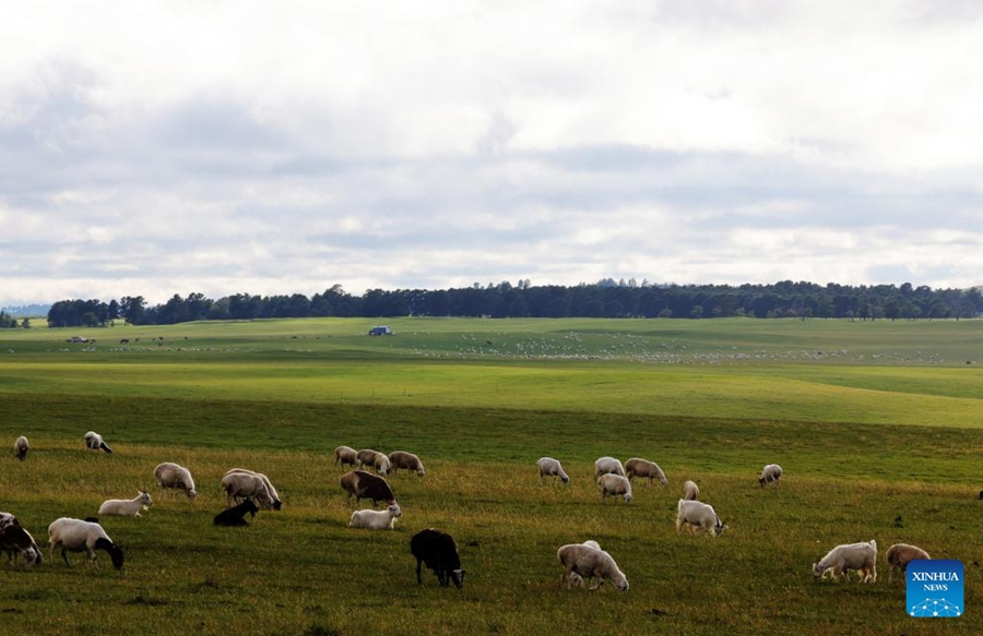 Paesaggio della prateria di Hulun Buir, nella Mongolia Interna
