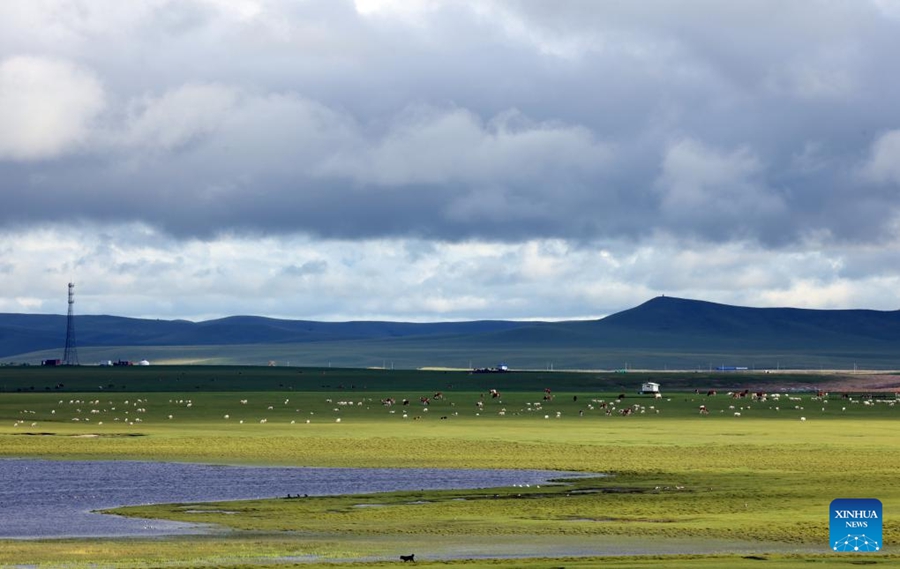 Paesaggio della prateria di Hulun Buir, nella Mongolia Interna