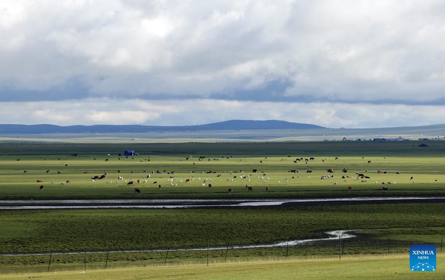Paesaggio della prateria di Hulun Buir, nella Mongolia Interna