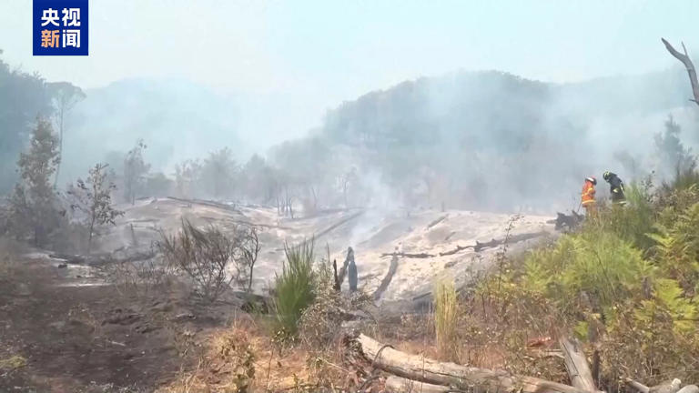 Italia, incendi boschivi dilaganti causano la chiusura dei percorsi turistici del Vesuvio