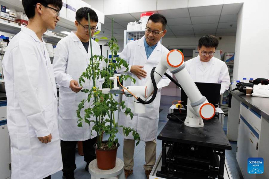 Scienziati cinesi sviluppano il primo robot intelligente per la coltivazione a processo completo al mondo