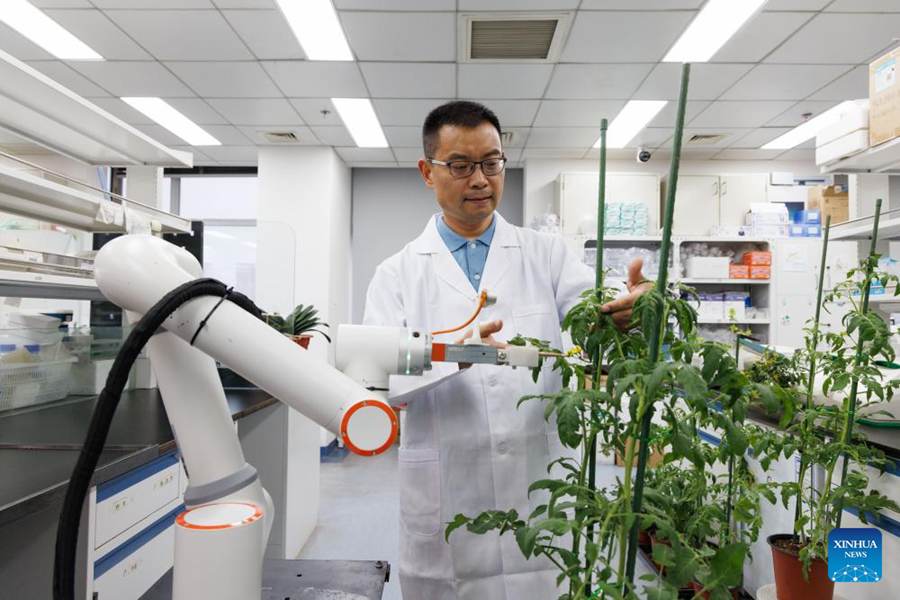 Scienziati cinesi sviluppano il primo robot intelligente per la coltivazione a processo completo al mondo