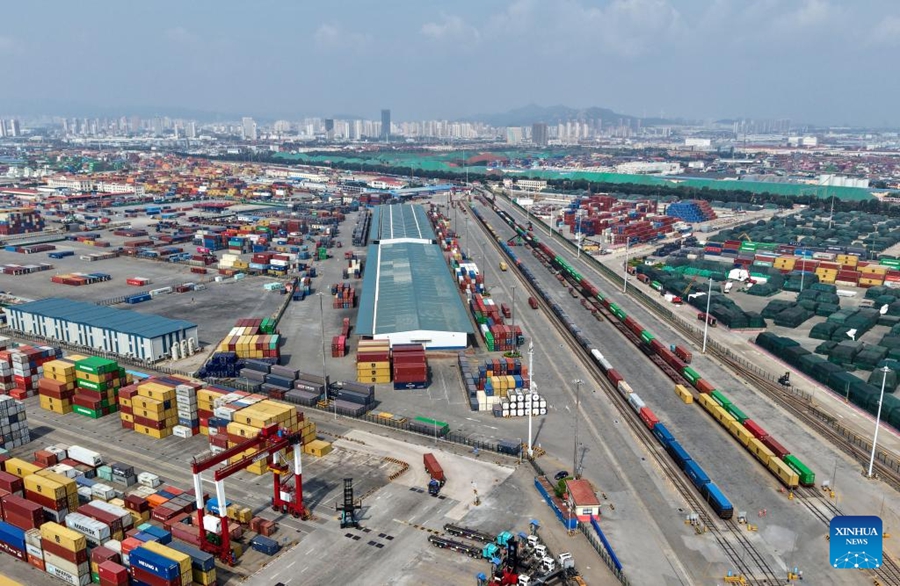 Il porto di Qingdao aggiunge 22 nuove rotte commerciali estere quest'anno
