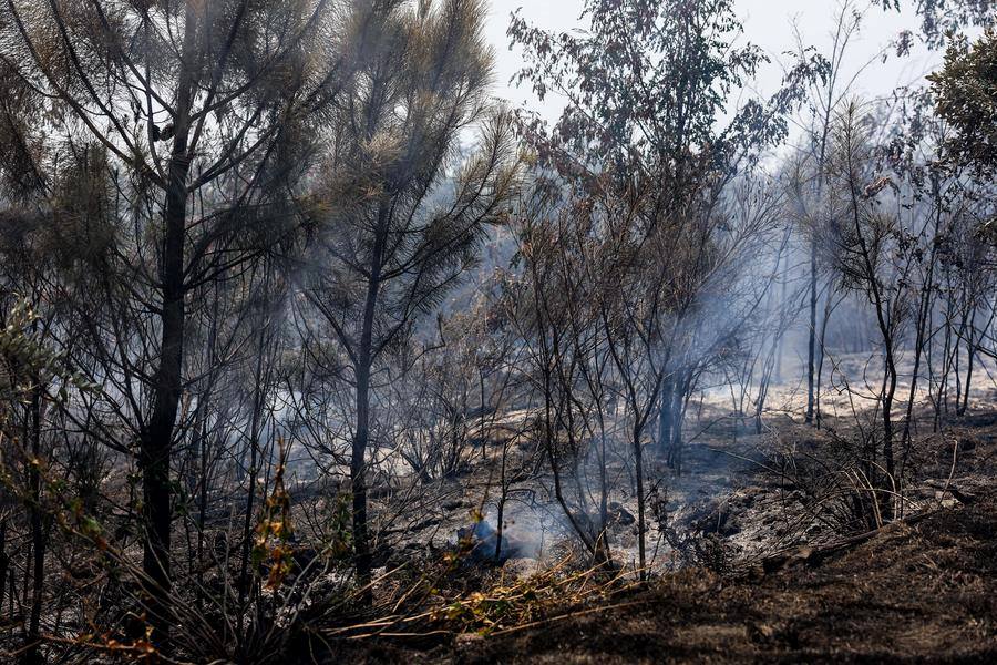 Sito di un incendio boschivo nel Parco Nazionale del Vesuvio a Napoli, Italia. (11 agosto 2025 -  Xinhua)