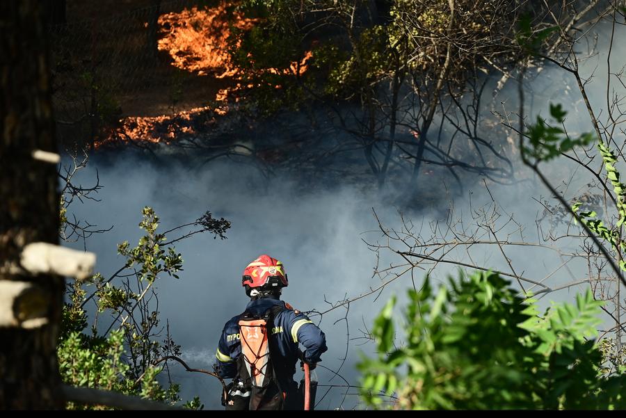 I danni causati dagli incendi boschivi nell'UE quadruplicano rispetto all'anno scorso, arrivando a quasi 900.000 ettari