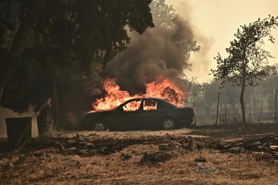 I danni causati dagli incendi boschivi nell'UE quadruplicano rispetto all'anno scorso, arrivando a quasi 900.000 ettari