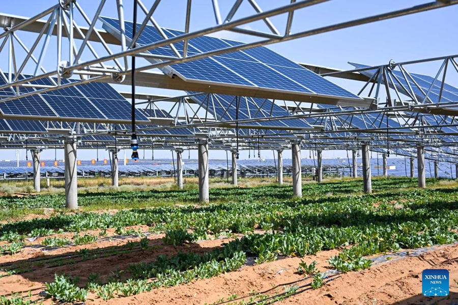 Progetti fotovoltaici favoriscono il ripristino ecologico e la crescita economica nel deserto di Kubuqi, Mongolia Interna cinese