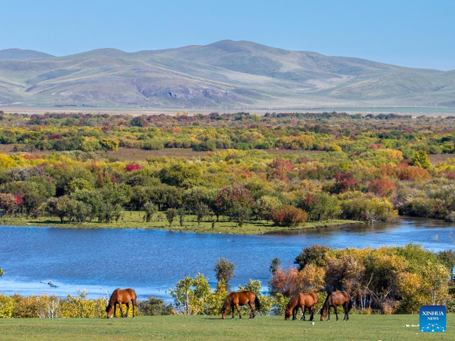 Veduta della zona umida attorno al fiume Ergune nella Mongolia Interna cinese