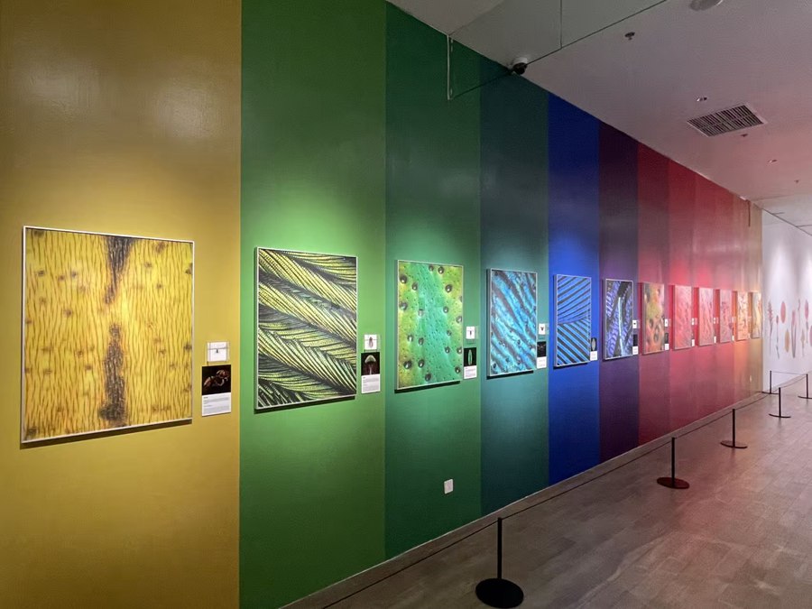 Arte e scienza si incontrano nel Distretto Guangming di Shenzhen