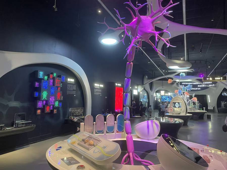 Arte e scienza si incontrano nel Distretto Guangming di Shenzhen