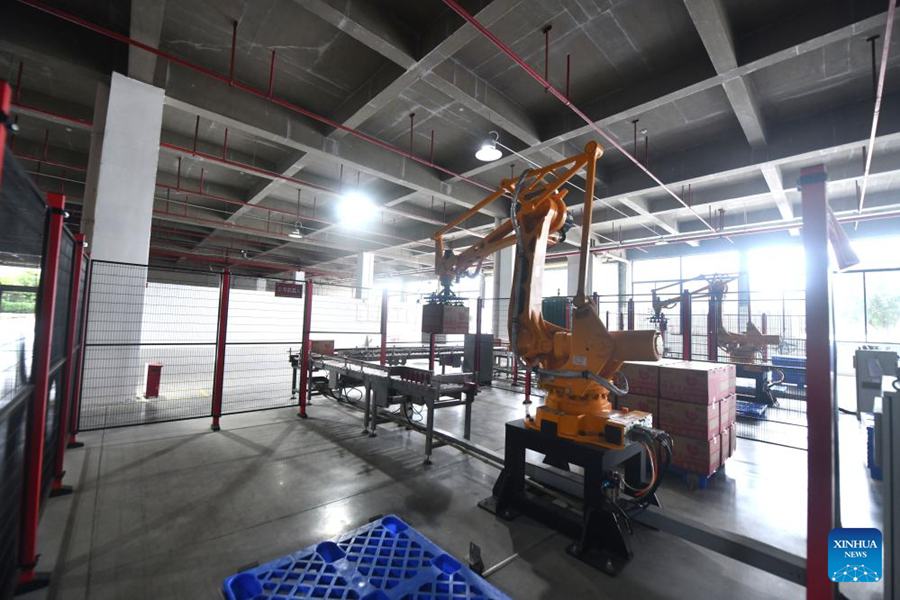 Lo street food Luosifen stimola la vitalità industriale del Guangxi, in Cina