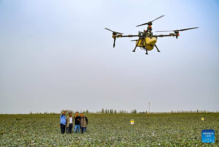 Il villaggio di Daxi nello Xinjiang sviluppa turismo e e-commerce per promuovere lo sviluppo rurale