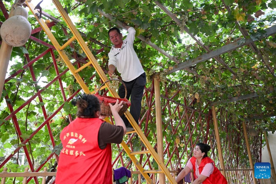 Il villaggio di Daxi nello Xinjiang sviluppa turismo e e-commerce per promuovere lo sviluppo rurale