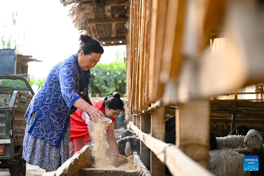 Il villaggio di Daxi nello Xinjiang sviluppa turismo e e-commerce per promuovere lo sviluppo rurale