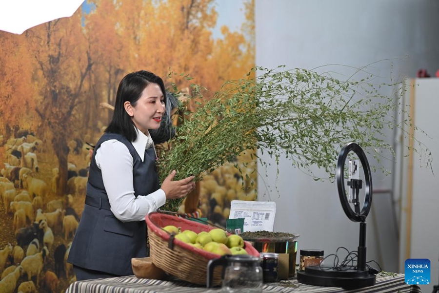 Il villaggio di Daxi nello Xinjiang sviluppa turismo e e-commerce per promuovere lo sviluppo rurale