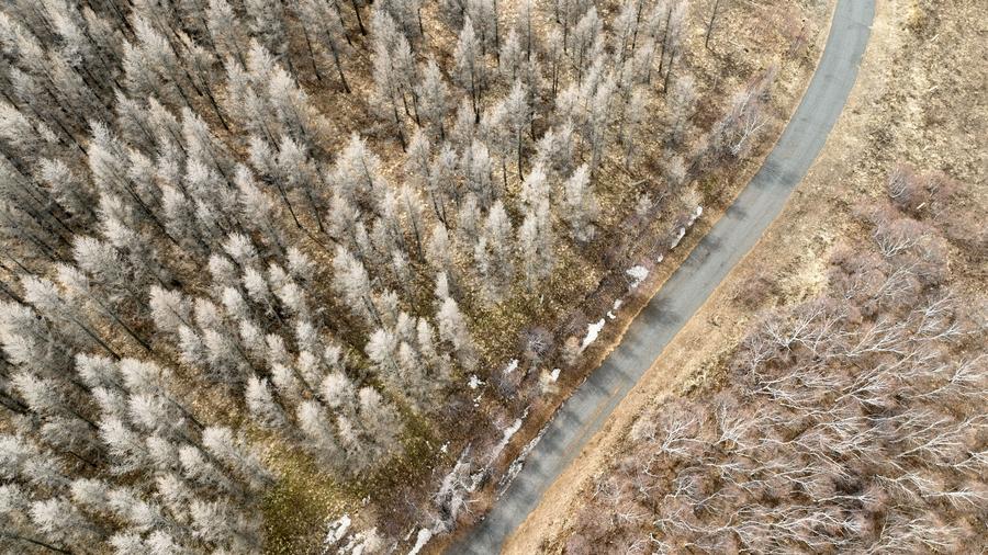 L'UNESCO aggiunge 26 nuove riserve della biosfera, incluse 2 in Cina