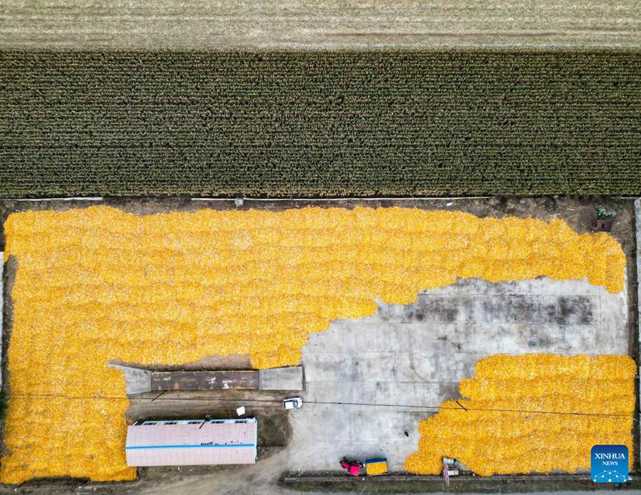 La "nuova agricoltrice" dà nuova energia alla rivitalizzazione rurale con modelli innovativi