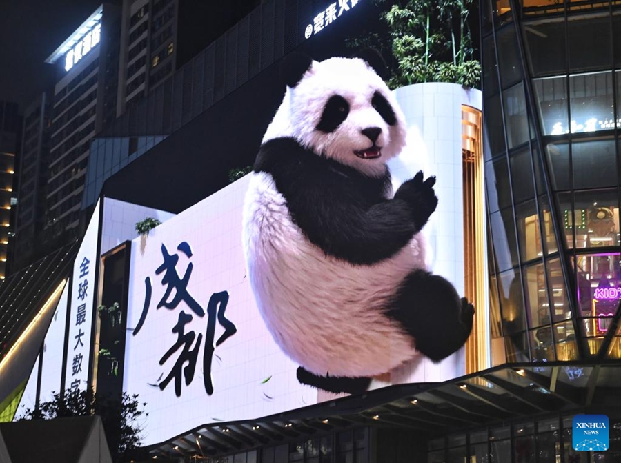 A Chengdu panda in 3D a occhio nudo