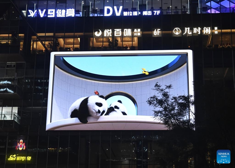 A Chengdu panda in 3D a occhio nudo