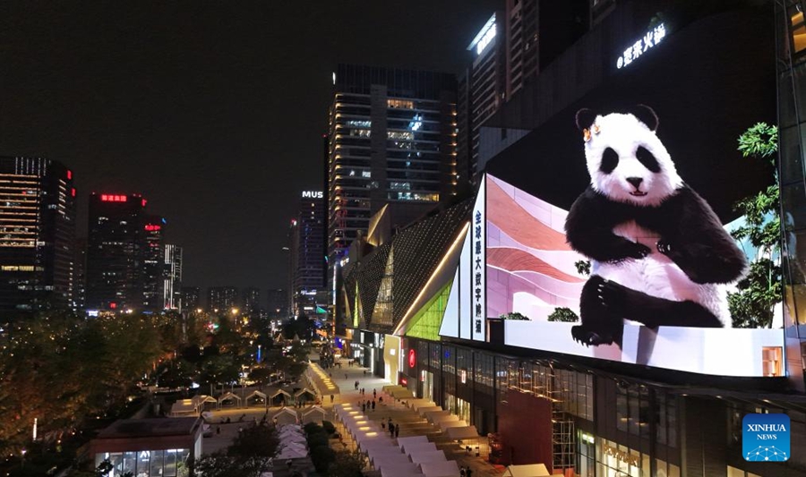A Chengdu panda in 3D a occhio nudo