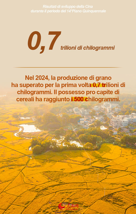 Poster: il 14° Piano Quinquennale in numeri