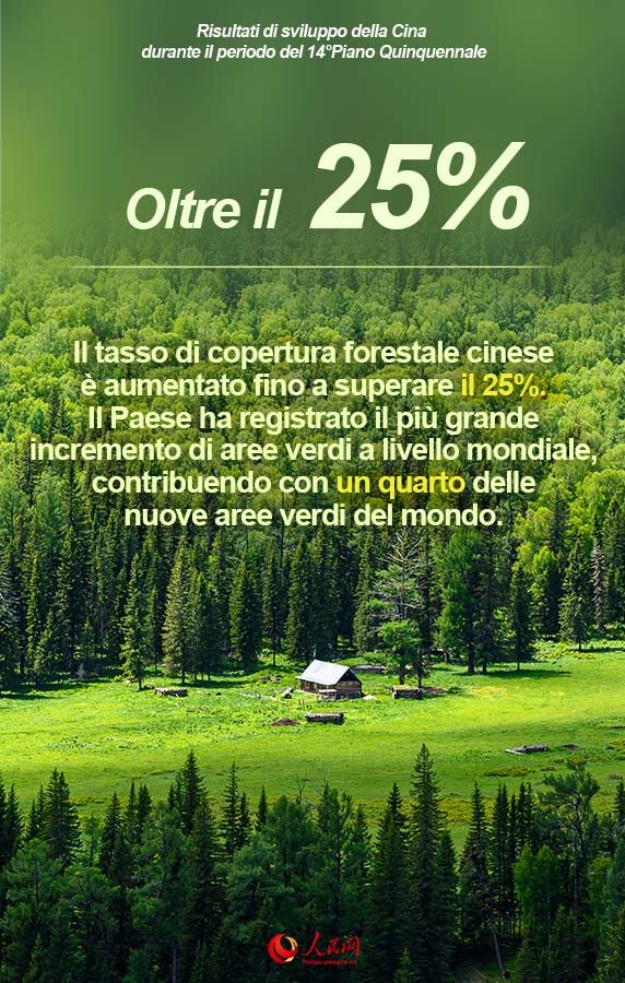 Poster: il 14° Piano Quinquennale in numeri