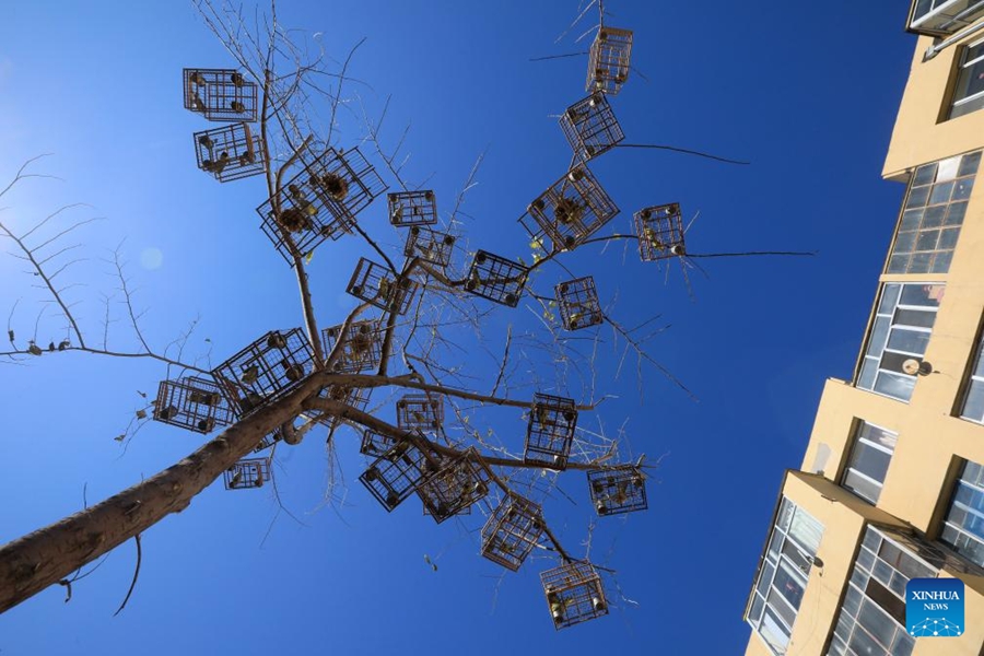 Squadra di volontari dedicata a proteggere la fauna selvatica nel bacino del fiume Songhua