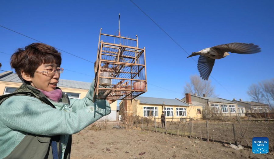 Squadra di volontari dedicata a proteggere la fauna selvatica nel bacino del fiume Songhua