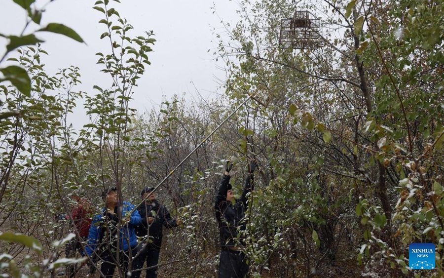 Squadra di volontari dedicata a proteggere la fauna selvatica nel bacino del fiume Songhua