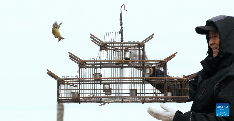 Squadra di volontari dedicata a proteggere la fauna selvatica nel bacino del fiume Songhua