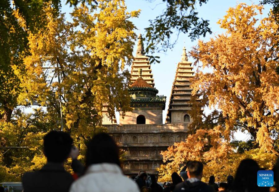 Museo d'Arte della Scultura in Pietra di Beijing attira numerosi turisti