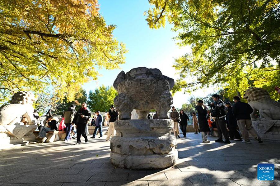 Museo d'Arte della Scultura in Pietra di Beijing attira numerosi turisti