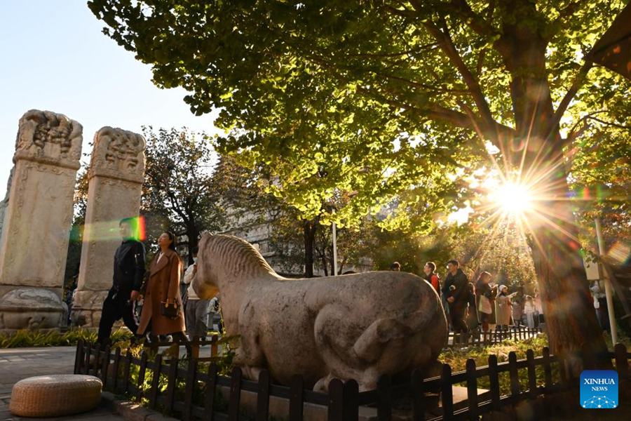 Museo d'Arte della Scultura in Pietra di Beijing attira numerosi turisti