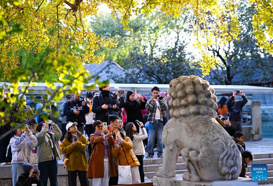 Turisti scattano foto al Museo d'Arte della Scultura in Pietra di Beijing. (26 ottobre 2025 - Xinhua/Chen Zhonghao)