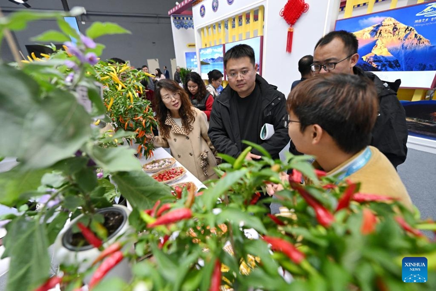 32a Fiera agricola hi-tech cinese di Yangling inaugura nello Shaanxi