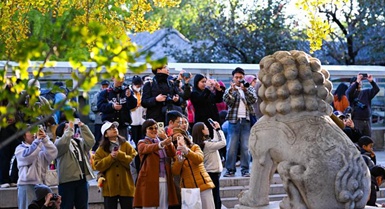 Museo d'Arte della Scultura in Pietra di Beijing attira numerosi turisti
