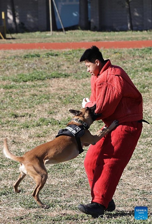 Gara di abilità per cani poliziotto tenuta a Beijing