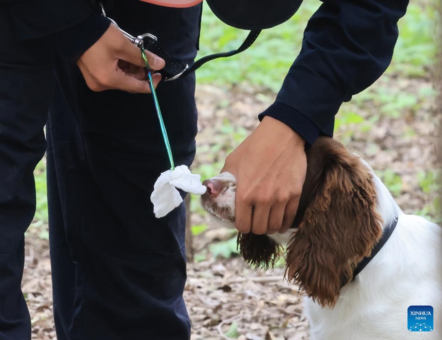 Gara di abilità per cani poliziotto tenuta a Beijing