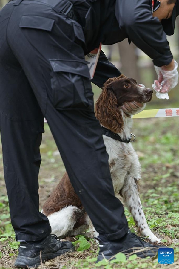 Gara di abilità per cani poliziotto tenuta a Beijing