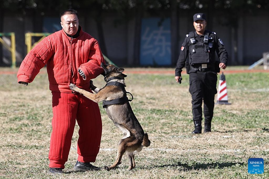 Gara di abilità per cani poliziotto tenuta a Beijing