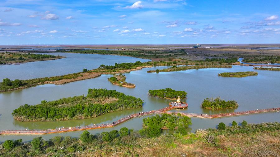 Costruzione di baie splendide nello Shandong, Cina orientale