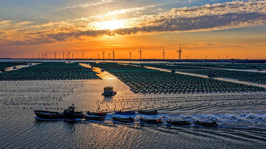 Costruzione di baie splendide nello Shandong, Cina orientale
