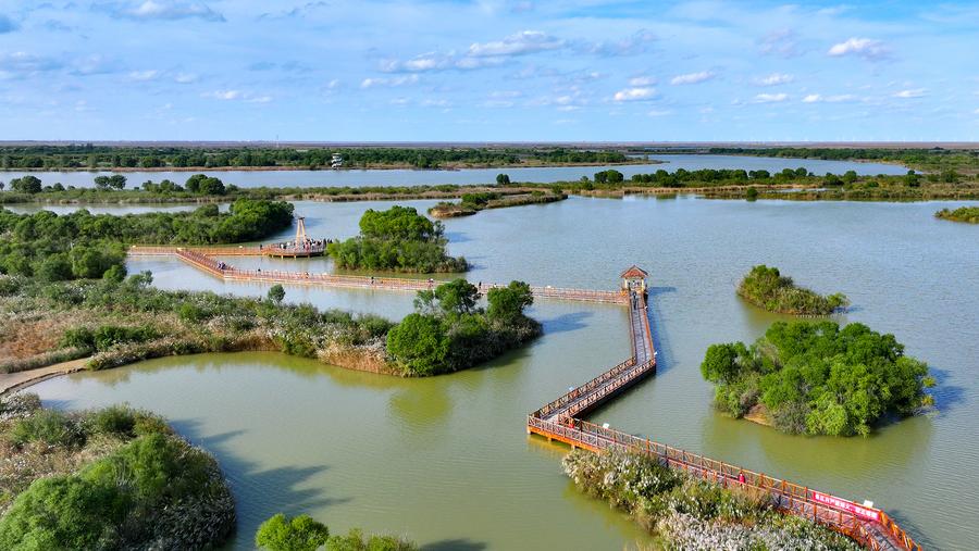 Costruzione di baie splendide nello Shandong, Cina orientale