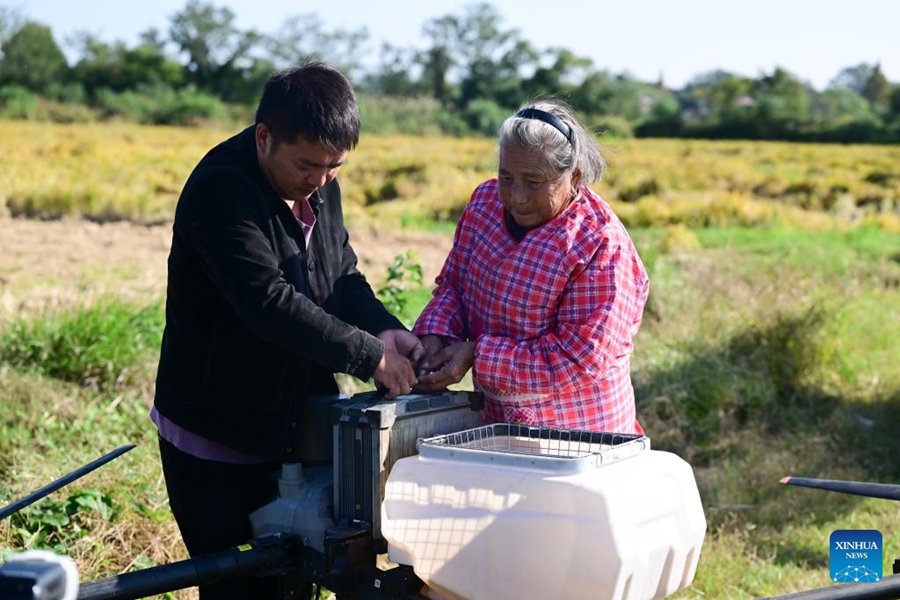 Ottuagenaria nell'Anhui abbraccia la tecnologia moderna per aiutare l'agricoltura familiare