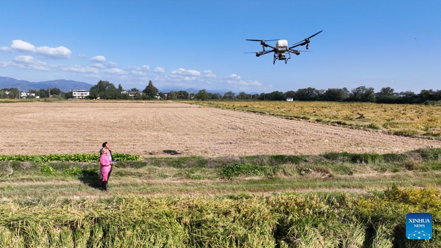 Ottuagenaria nell'Anhui abbraccia la tecnologia moderna per aiutare l'agricoltura familiare