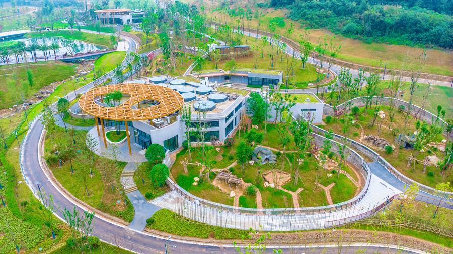 Nuova base per panda giganti entra in funzione in via sperimentale nella Cina sudoccidentale